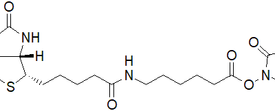 Biotin-X-NHS
