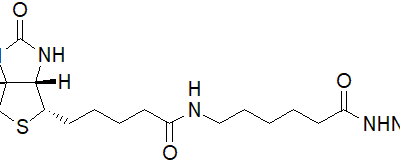 (+)-Biotinamidohexanoic acid hydrazide