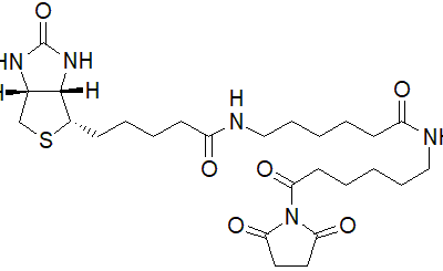 6-((+)-Biotinamidohexanoylamino)hexanoic acid N-hydroxysuccinimide ester 