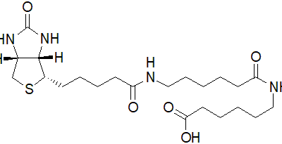 6-(6-(5-((3aS,4S,6aR)-2-Oxohexahydro-1H-thieno[3,4-d]imidazol-4-yl)pentanamido)hexanamido)hexanoic acid