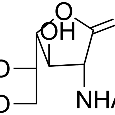 2-Acetamido-2-deoxy-D-galactono-1,4-lactone